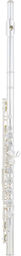YFL-212SL Flute