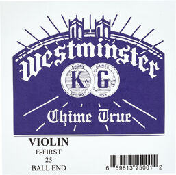E Violin 4/4 BE light 0,25