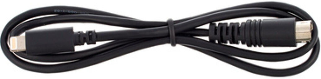 Lightning to Mini-DIN cable