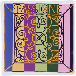 Passione Solo Violin 4/4 KGL