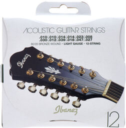 IACS12C Acoustic 12 String Set