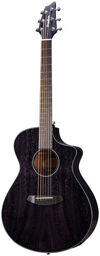 Rainforest S Concert CE OC Orchid