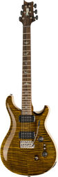 Custom 24/08 PS Tiger Eye Tiger Eye