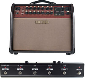 ACS Acoustic Singer Liv Bundle