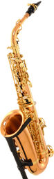 A-WO20 Elite Alto Sax