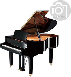 C 2 X PWH Blanc poli