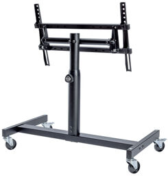26787 Confidence Stand