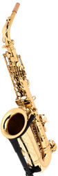ASBGG Custom Line Alto Sax