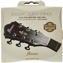 IACSP6C Acoustic Steel Strings