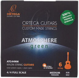 ATG44NM Classical Strings