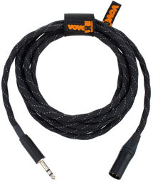 link protect S350 TRS/XLRm