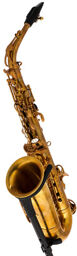 R1 Jazz Alto Sax OT