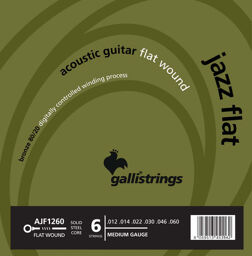 AJF1260 Acoustic Guitar Str.