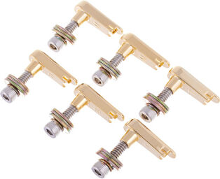 Bridge Pin Set V2 GD