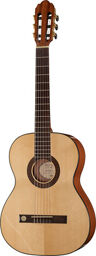 Pro Arte GC100A