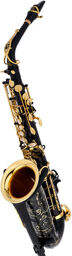 SE-A2B Black Alto Sax