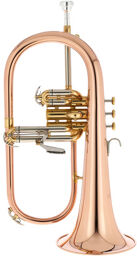FH 600 G Bb-Flugelhorn