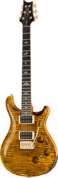 Custom 24 Piezo 10 Top YI Yellow Tiger