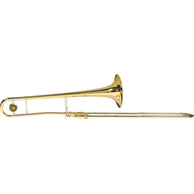 TB40 - Ténor Simple Verni