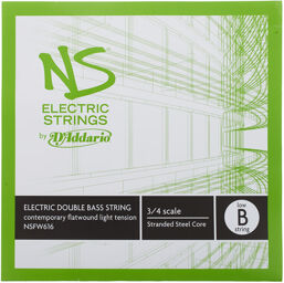NSFW616 Electric Bass Low B
