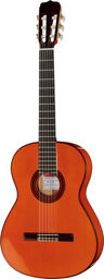 Estudio Flamenco Naturel