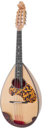 Round Back Mandola MD-4 MR