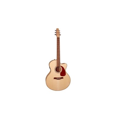 Performer Mj Cw Flame Maple Presys Ii