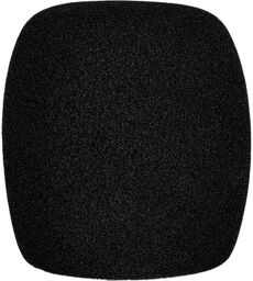 WS07 Windscreen noir