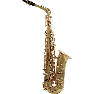 WSA100 - Alto Mi B Verni