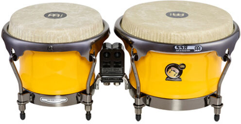 Artist Alexandra Alban Bongos Sunrise Yellow