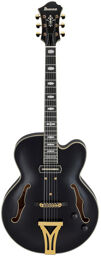 PM3C-BKL Pat Metheny Noir