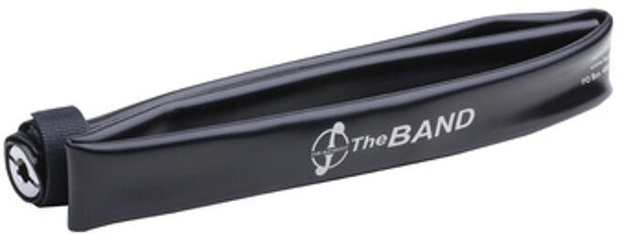 The Band Cello Pickup