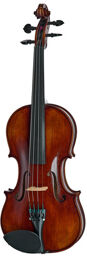 No. 100/2 Master Violin 4/4