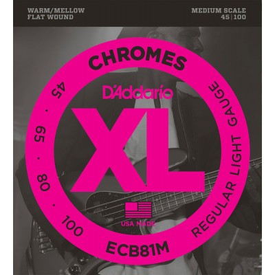 ECB81m Chromes Medium Scale Regular Light 45-100