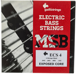 ECS4 Exposed Core Bass Str.