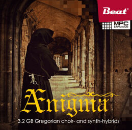 Aenigma