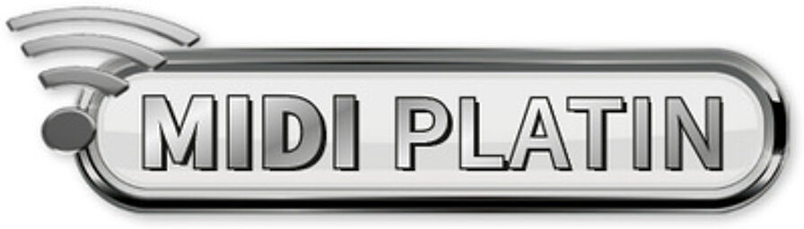 MIDI Accordion Platinum