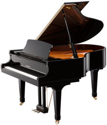 GX 2 E/P Grand Piano
