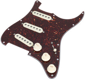 67 Q.Coil Hot Br. Pickguard TT