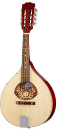 Portuguese Mandolin 1-P