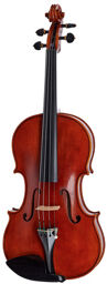 Linea Macchi Viola 15,5''