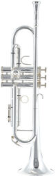52B- SP Trumpet