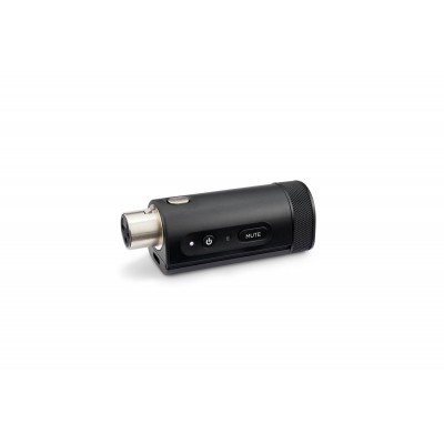 Bosewireless XLR Instrument