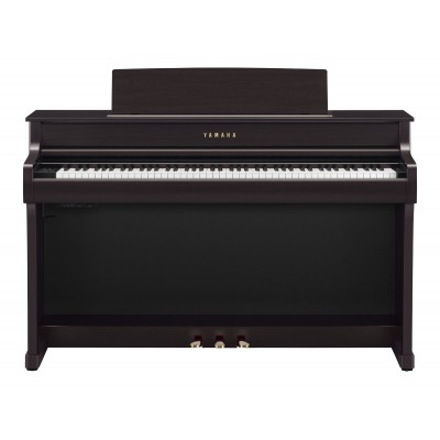 CLP-845 Palissandre
