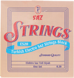 ES20 Electro Std. Str. BK Noir