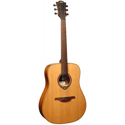 Tramontane T170D Dreadnought - Stock B