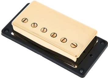 HV Trembucker Bridge Gold