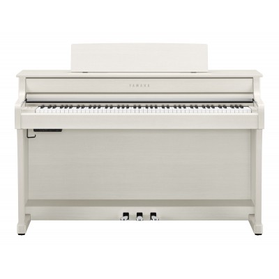 CLP-845 Bouleau Blanc - STOCK B