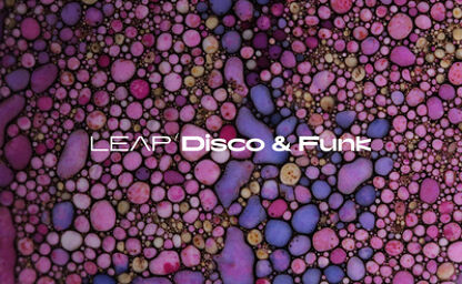 Leap Expansion Disco and Funk