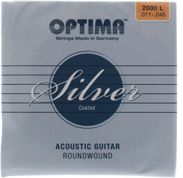 Lenzner Silver Acoustic Light